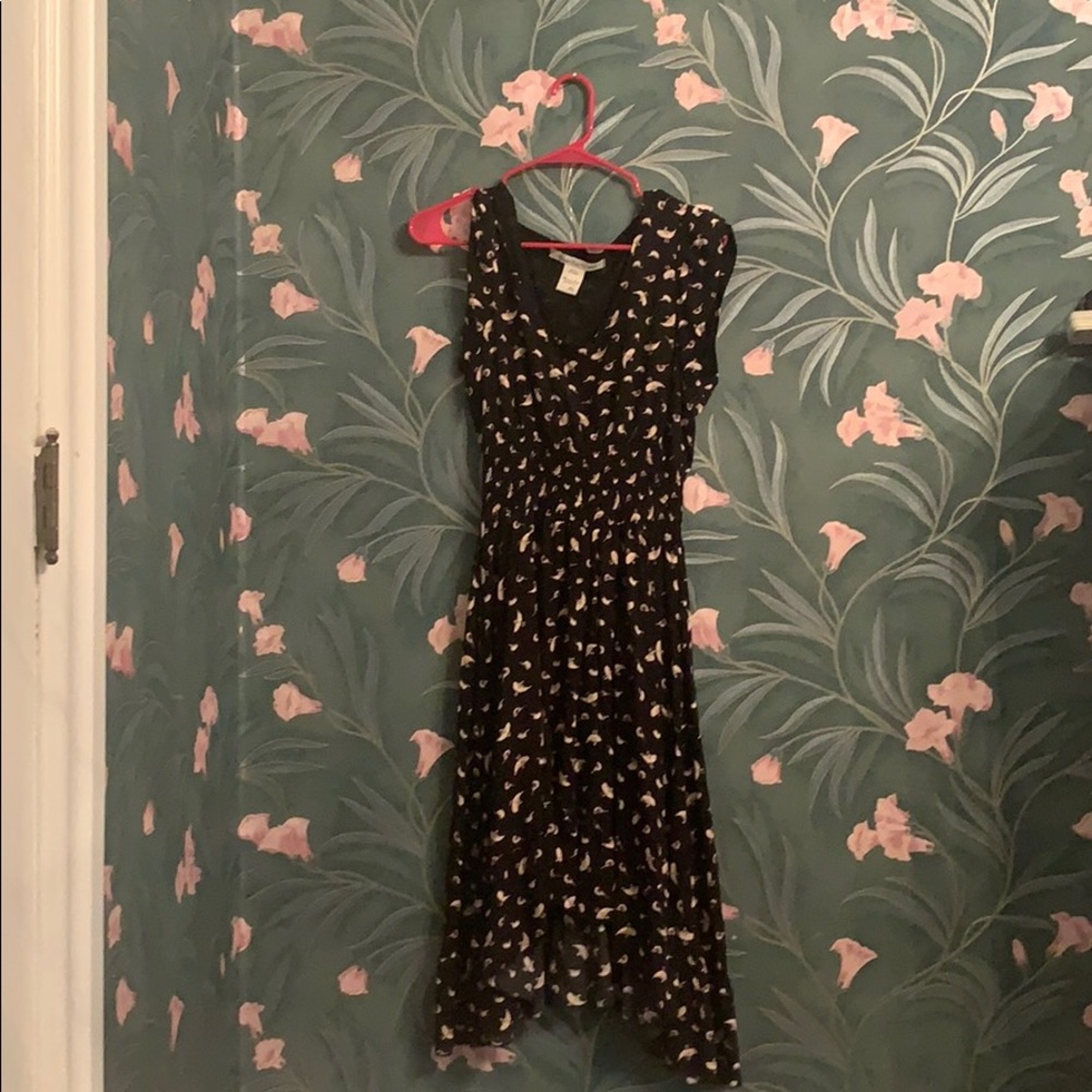 A black dress with colorful birds by American rag.